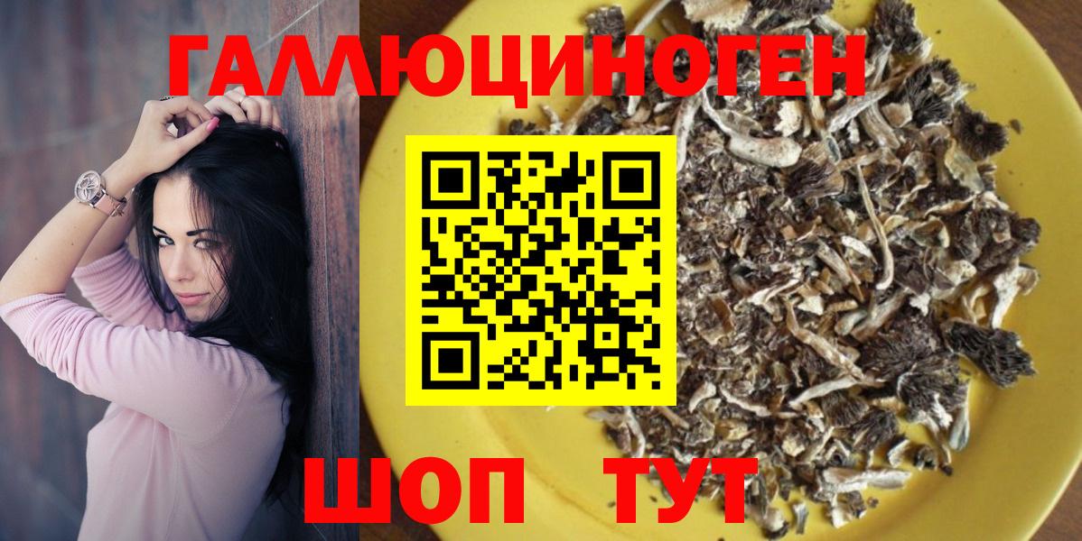 Псилоцибиновые грибы Psilocybine cubensis Красногорск