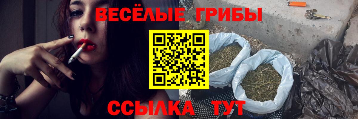 Красногорск  Псилоцибиновые грибы мухоморы  Вход с VPN  Галлюциногенные грибы GOLDEN TEACHER 